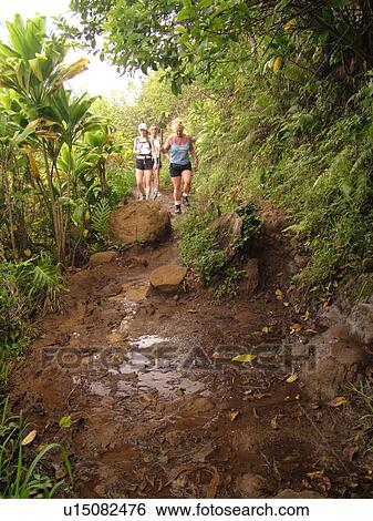 Stock Photograph -  Napali Coast, Kauai, HI, Hawaii, North Shore, Na Pali, Kalalau Trail. Fotosearch