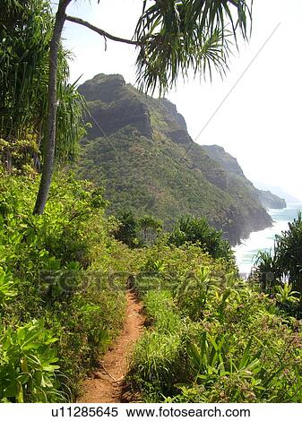 Stock Photography -  Napali Coast, Kauai, HI, Hawaii, North Shore, Na Pali, Kalalau Trail. Fotosearch