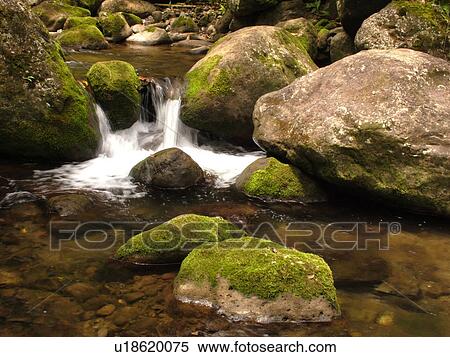 Stock Photography -  Napali Coast, Kauai, HI, Hawaii, North Shore, Na Pali, Kalalau Trail, Hanakapiai Valley, Hanakapiai River Trail. Fotosearch