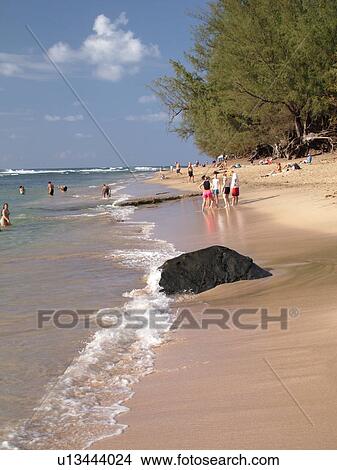 Napali Coast, Princeville, Kauai, HI, Hawaii, North Shore, Na Pali, Haena State Park, Kee Beach View Large Photo Image Picture - Napali Coast, Princeville, Kauai, HI, Hawaii, North Shore, Na Pali, Haena State Park, Kee Beach. Fotosearch