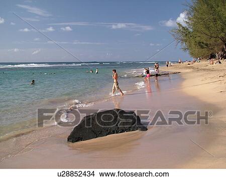 Picture -  Napali Coast, Princeville, Kauai, HI, Hawaii, North Shore, Na Pali, Haena State Park, Kee Beach. Fotosearch