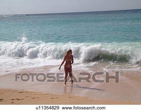 Stock Photo -  Napali Coast, Princeville, Kauai, HI, Hawaii, North Shore, Na Pali, Haena Beach Park, Tunnels Beach. Fotosearch