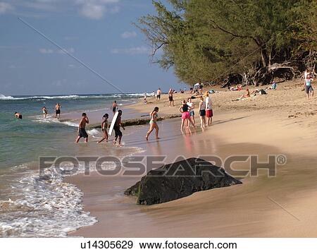 Napali Coast, Princeville, Kauai, HI, Hawaii, North Shore, Na Pali, Haena State Park, Kee Beach View Large Photo Image Stock Photo - Napali Coast, Princeville, Kauai, HI, Hawaii, North Shore, Na Pali, Haena State Park, Kee Beach. Fotosearch