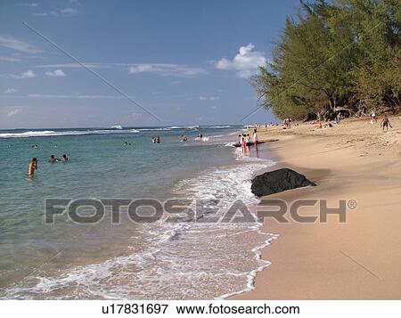 Napali Coast, Princeville, Kauai, HI, Hawaii, North Shore, Na Pali, Haena State Park, Kee Beach View Large Photo Image Stock Photo - Napali Coast, Princeville, Kauai, HI, Hawaii, North Shore, Na Pali, Haena State Park, Kee Beach. Fotosearch