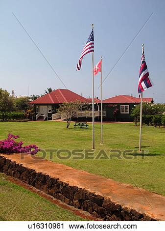 Numila, Kauai, HI, Hawaii, South Shore, Kauai Coffee Company Plantation View Large Photo Image Stock Image - Numila, Kauai, HI, Hawaii, South Shore, Kauai Coffee Company Plantation. Fotosearch