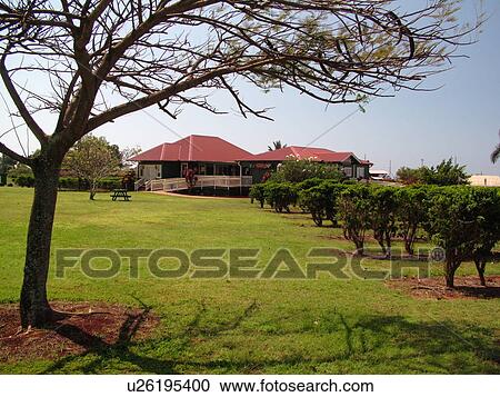 Stock Image -  Numila, Kauai, HI, Hawaii, South Shore, Kauai Coffee Company Plantation. Fotosearch