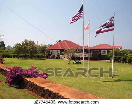 Stock Image -  Numila, Kauai, HI, Hawaii, South Shore, Kauai Coffee Company Plantation. Fotosearch