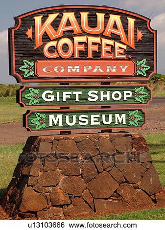 Stock Photograph -  Numila, Kauai, HI, Hawaii, South Shore, Kauai Coffee Company Plantation. Fotosearch