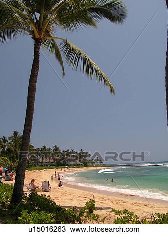 Stock Image -  Poipu, Kauai, HI, Hawaii, South Shore, Sheraton Kauai Resort, Poipu Beach. Fotosearch