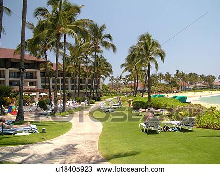 Poipu, Kauai, HI, Hawaii, South Shore, Sheraton Kauai Resort View Large Photo Image Stock Image - Poipu, Kauai, HI, Hawaii, South Shore, Sheraton Kauai Resort. Fotosearch