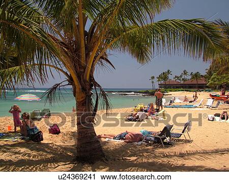 Stock Image -  Poipu, Kauai, HI, Hawaii, South Shore, Sheraton Kauai Resort, Poipu Beach. Fotosearch