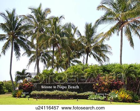 Stock Photo -  Poipu, Kauai, HI, Hawaii, South Shore, Welcome to Poipu Beach. Fotosearch