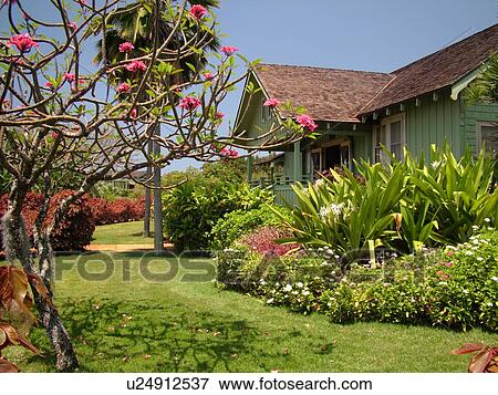 Stock Photo -  Poipu, Kauai, HI, Hawaii, South Shore, Allerton Garden, National Tropical Botanical Garden, Visitor Center. Fotosearch