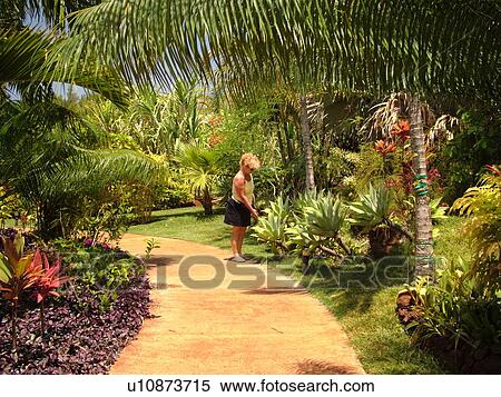 Poipu Kauai Hi Hawaii South S Allerton Garden National Tropical Botanical Stock Photography U10873715 Fotosearch - Kauai Botanical Gardens Poipu Poipu Kauai Hi Hawaii South S Allerton Garden National Tropical Botanical Stock Photography U10873715 Fotosearch - Kauai Botanical Gardens Poipu