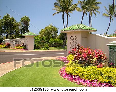 Poipu, Kauai, HI, Hawaii, South Shore, Hyatt Regency Kauai Resort & Spa, entrance View Large Photo Image Stock Photography - Poipu, Kauai, HI, Hawaii, South Shore, Hyatt Regency Kauai Resort & Spa, entrance. Fotosearch