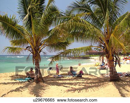 Stock Photography -  Poipu, Kauai, HI, Hawaii, South Shore, Sheraton Kauai Resort, Poipu Beach. Fotosearch