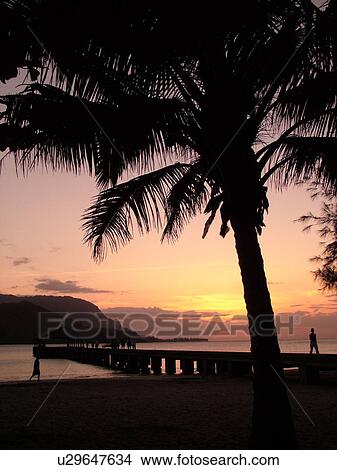 Picture -  Princeville, Kauai, HI, Hawaii, North Shore, Hanalei Bay, Black Pot Beach Park, Hanalei Beach Park, sunset, pier, jetty. Fotosearch