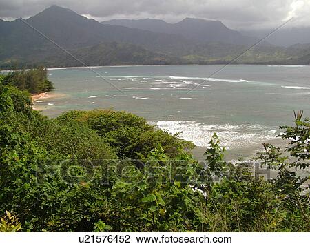 Princeville, Kauai, HI, Hawaii, North Shore, Hanalei Bay View Large Photo Image Stock Image - Princeville, Kauai, HI, Hawaii, North Shore, Hanalei Bay. Fotosearch