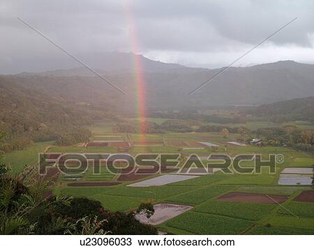 Princeville, Kauai, HI, Hawaii, North Shore, Hanalei Valley, Hanalei National Wildlife Refuge, Taro Fields, rainbow View Large Photo Image Stock Image - Princeville, Kauai, HI, Hawaii, North Shore, Hanalei Valley, Hanalei National Wildlife Refuge, Taro Fields, rainbow. Fotosearch