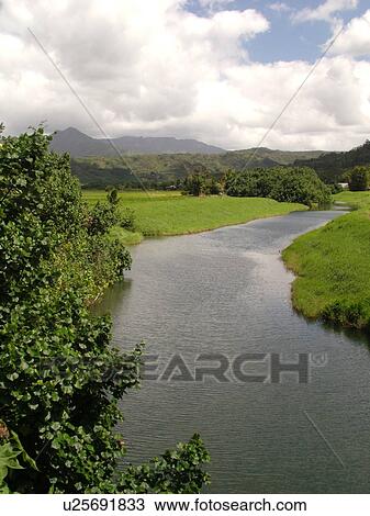 Stock Image -  Princeville, Kauai, HI, Hawaii, North Shore, Hanalei Valley, Hanalei National Wildlife Refuge, Hanalei River. Fotosearch