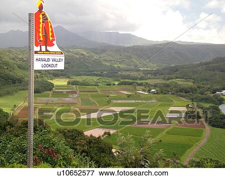 Stock Photo -  Princeville, Kauai, HI, Hawaii, North Shore, Hanalei Valley, Hanalei National Wildlife Refuge, Taro Fields, marker, lookout. Fotosearch
