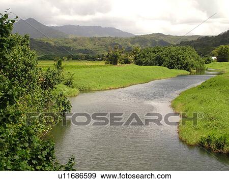 Princeville, Kauai, HI, Hawaii, North Shore, Hanalei Valley, Hanalei National Wildlife Refuge, Hanalei River View Large Photo Image Stock Photo - Princeville, Kauai, HI, Hawaii, North Shore, Hanalei Valley, Hanalei National Wildlife Refuge, Hanalei River. Fotosearch
