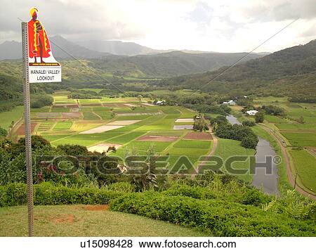Stock Photo -  Princeville, Kauai, HI, Hawaii, North Shore, Hanalei Valley, Hanalei National Wildlife Refuge, Taro Fields, marker, lookout. Fotosearch