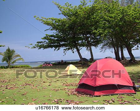 Stock Photo -  Princeville, Kauai, HI, Hawaii, North shore, Anini Beach Park, camping. Fotosearch