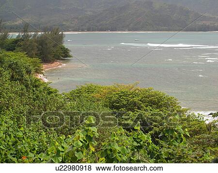 Stock Photo -  Princeville, Kauai, HI, Hawaii, North Shore, Hanalei Bay. Fotosearch