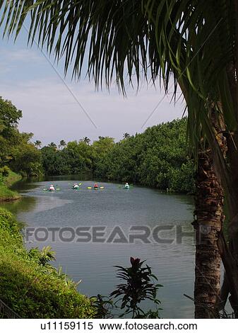 Princeville, Kauai, HI, Hawaii, North Shore, Hanalei River View Large Photo Image Stock Photography - Princeville, Kauai, HI, Hawaii, North Shore, Hanalei River. Fotosearch