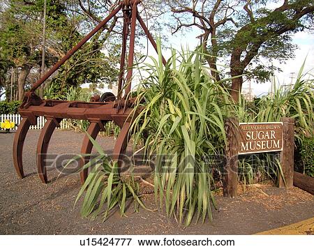 Stock Photo -  Puunene, Maui, HI, Hawaii, Alexander & Baldwin Sugar Museum. Fotosearch