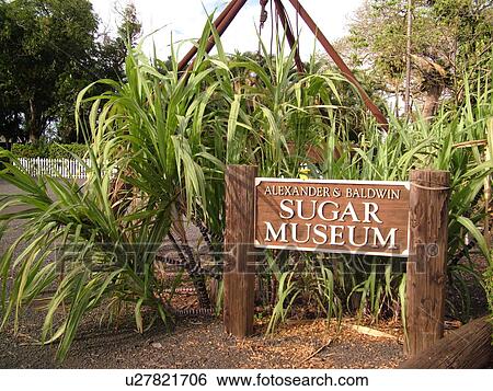 Stock Photograph -  Puunene, Maui, HI, Hawaii, Alexander & Baldwin Sugar Museum. Fotosearch