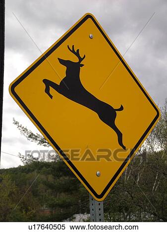 road-sign-caution-deer-crossing-sign-sto