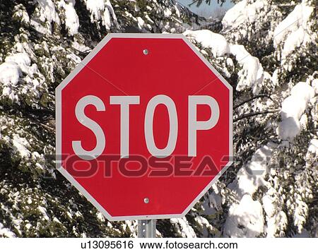 road sign, Stop Sign in the snow, snow-covered evergreen trees, View Large Photo Image Stock Photograph - road sign, Stop Sign in the snow, snow-covered evergreen trees, . Fotosearch