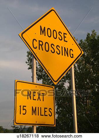 road signs, Moose Crossing, warning sign, View Large Photo Image Stock Photo - road signs, Moose Crossing, warning sign, . Fotosearch