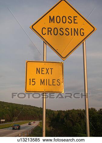 road signs, Moose Crossing, warning sign, View Large Photo Image Stock Photography - road signs, Moose Crossing, warning sign, . Fotosearch