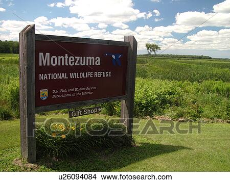 Picture -  Seneca Falls, NY, New York, Finger Lakes Region, Montezuma National Wildlife Refuge, entrance sign. Fotosearch