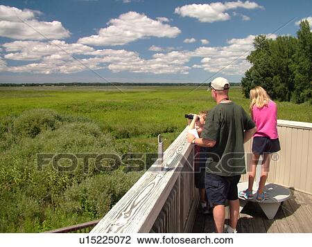 Stock Image -  Seneca Falls, NY, New York, Finger Lakes Region, Montezuma National Wildlife Refuge, overlook. Fotosearch
