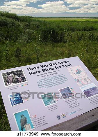Stock Photo -  Seneca Falls, NY, New York, Finger Lakes Region, Montezuma National Wildlife Refuge, overlook. Fotosearch