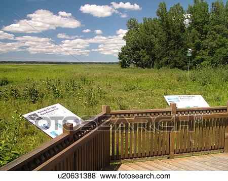 Stock Photo -  Seneca Falls, NY, New York, Finger Lakes Region, Montezuma National Wildlife Refuge, overlook. Fotosearch