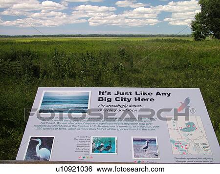 Seneca Falls, NY, New York, Finger Lakes Region, Montezuma National Wildlife Refuge, overlook View Large Photo Image Stock Photograph - Seneca Falls, NY, New York, Finger Lakes Region, Montezuma National Wildlife Refuge, overlook. Fotosearch