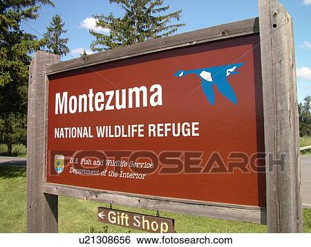 Stock Photograph -  Seneca Falls, NY, New York, Finger Lakes Region, Montezuma National Wildlife Refuge, entrance sign. Fotosearch