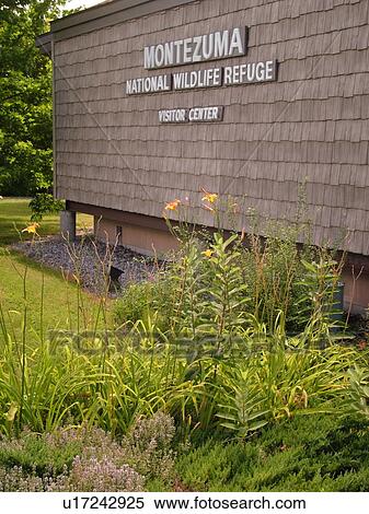 Stock Photography -  Seneca Falls, NY, New York, Finger Lakes Region, Montezuma National Wildlife Refuge, Visitor Center. Fotosearch