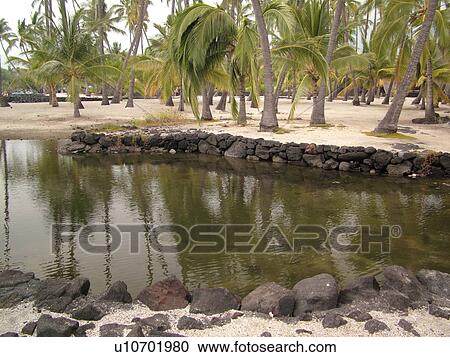 South Kona, Big Island, Island of Hawaii, HI, Hawaii, Kona Coast, Leeward, West Coast, Captain Cook, Honaunau, Pu'uhonua O Honaunau National Historical Park, Place of Refuge, Heleipalala, fish pond View Large Photo Image Stock Image - South Kona, Big Island, Island of Hawaii, HI, Hawaii, Kona Coast, Leeward, West Coast, Captain Cook, Honaunau, Pu'uhonua O Honaunau National Historical Park, Place of Refuge, Heleipalala, fish pond. Fotosearch