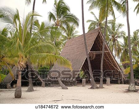 Stock Image -  South Kona, Big Island, Island of Hawaii, HI, Hawaii, Kona Coast, Leeward, West Coast, Captain Cook, Honaunau, Pu'uhonua O Honaunau National Historical Park, Place of Refuge, Halau, thatched A frame structures. Fotosearch