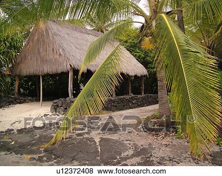 Stock Photo -  South Kona, Big Island, Island of Hawaii, HI, Hawaii, Kona Coast, Leeward, West Coast, Captain Cook, Honaunau, Pu'uhonua O Honaunau National Historical Park, Place of Refuge, Thatched A Frame. Fotosearch