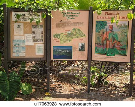 Stock Photo -  South Kona, Big Island, Island of Hawaii, HI, Hawaii, Kona Coast, Leeward, West Coast, Kealakekua, Amy B. H. Greenwall Ethnobotanical Garden, traditions of people and their plants, interpretive signs. Fotosearch