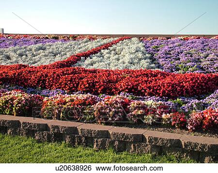Traverse City, MI, Michigan, Floral decoration, sailboat, flowers, gardens View Large Photo Image Stock Photograph - Traverse City, MI, Michigan, Floral decoration, sailboat, flowers, gardens. Fotosearch