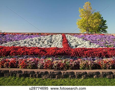 Traverse City Mi Michigan Floral Decoration Sailboat Flowers Gardens Stock Photography U28774695 Fotosearch