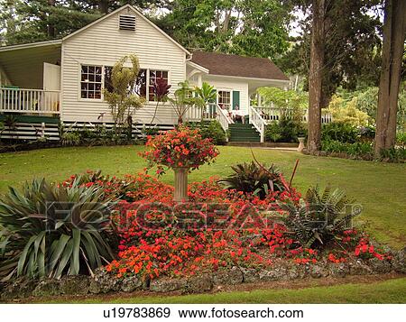 Stock Photo -  Ulupalakua, Maui, HI, Hawaii, Tedeschi Vineyards, Ulupalakua Ranch, Maui's Winery, King's Cottage Tasting Room (1874). Fotosearch